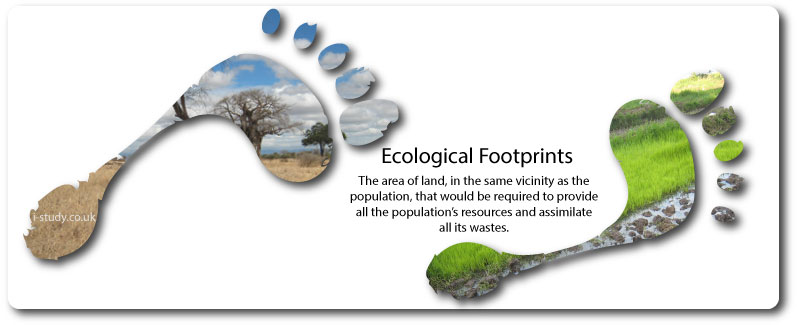 IB environmental systems, ecological footprint